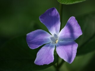 Vakantiehuis Ootmarsum Omgeving 20