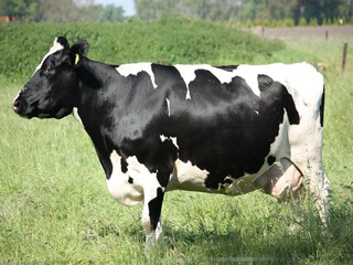 Holiday house Ootmarsum Environment 28