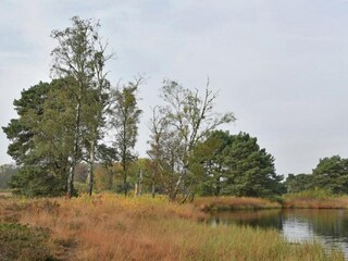 Ferienhaus Ootmarsum Umgebung 23