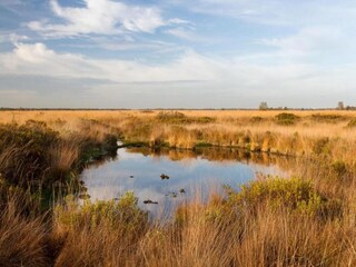 Casa per le vacanze Ootmarsum Ambiente 21