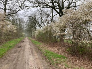 Holiday house Ootmarsum Environment 32