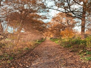 Vakantiehuis Ootmarsum Omgeving 25