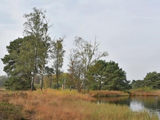 Ferienhaus Ootmarsum Umgebung 31