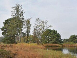 Vakantiehuis Ootmarsum Omgeving 31