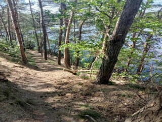 Casa per le vacanze Ootmarsum Ambiente 34