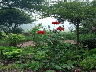 Ferienhaus Ootmarsum Umgebung 36