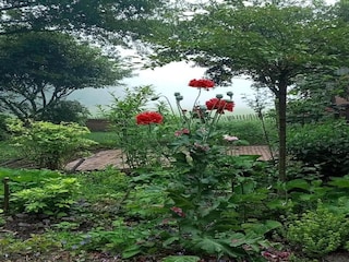 Maison de vacances Ootmarsum Environnement 25