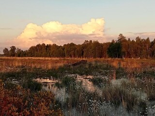 Casa per le vacanze Ootmarsum Ambiente 34