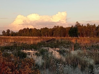 Maison de vacances Ootmarsum Environnement 33