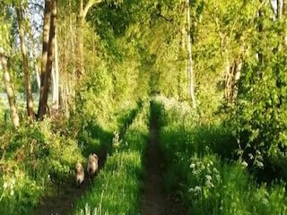 Ferienhaus Ootmarsum Umgebung 22