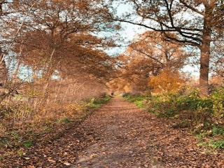 Maison de vacances Ootmarsum Environnement 34
