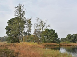 Maison de vacances Ootmarsum Environnement 35