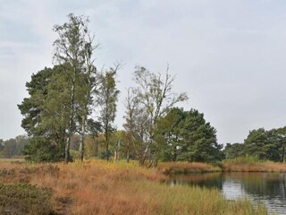 Vakantiehuis Ootmarsum Omgeving 35