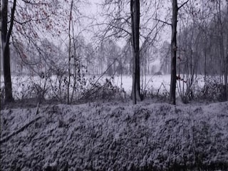 Ferienhaus Ootmarsum Umgebung 36