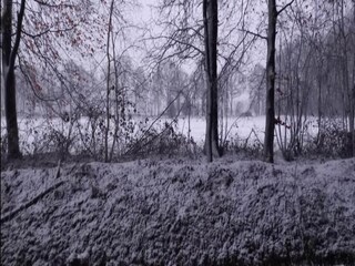 Vakantiehuis Ootmarsum Omgeving 36