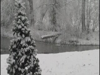 Casa per le vacanze Ootmarsum Ambiente 19