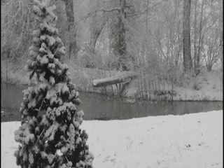 Ferienhaus Ootmarsum Umgebung 20