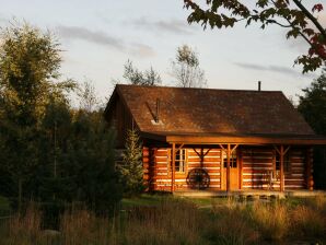 Vakantiehuis Amerikaanse cabin ligt in het Overijsselse Vecht-Reggedal - De ham - image1