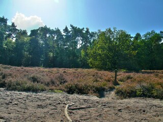 Vakantiehuis Den Ham Omgeving 24