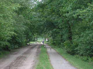 Vakantiehuis Den Ham Omgeving 26