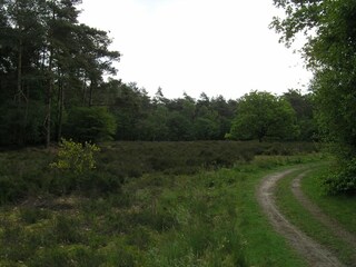 Vakantiehuis Den Ham Omgeving 27