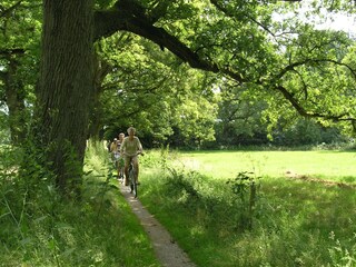 Vakantiehuis Den Ham Omgeving 28