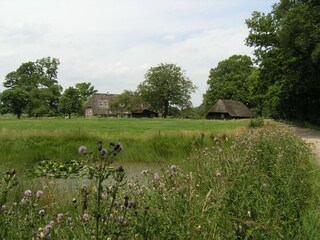 Vakantiehuis Den Ham Omgeving 29