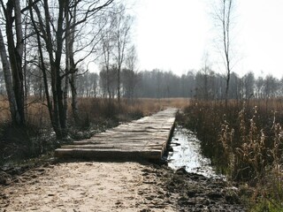 Vakantiehuis Den Ham Omgeving 32