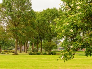 Vakantiehuis Den Ham Omgeving 34