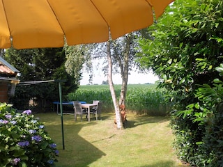 Ferienhaus Den Ham Außenaufnahme 18