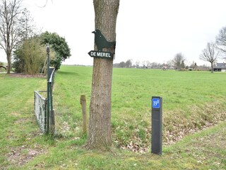 Ferienhaus Den Ham  39