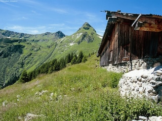 Chalet Saalbach Environnement 28