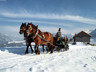 Chalet Maria Alm Umgebung 16