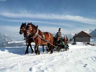 Chalet Maria Alm Umgebung 18