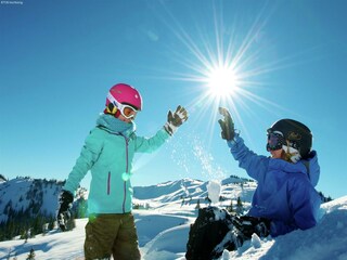 Chalet Maria Alm Environment 22