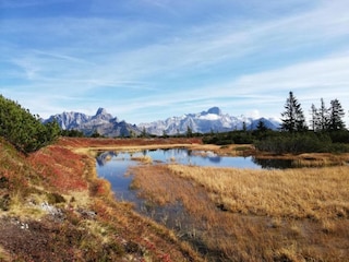 Chalet Maria Alm Environnement 18