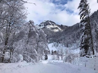 Chalet Maria Alm Ambiente 24