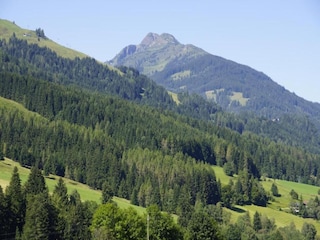 Apartment Leogang Umgebung 31