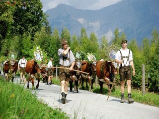 Apartamento Leogang Entorno 20