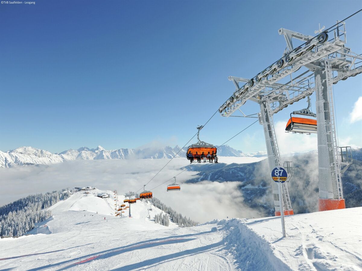 Chalet Leogang Environnement 1