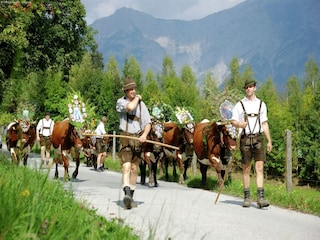 Chalet Leogang Environment 24