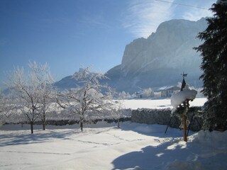 Der Schnee hat unseren Garten verzaubert