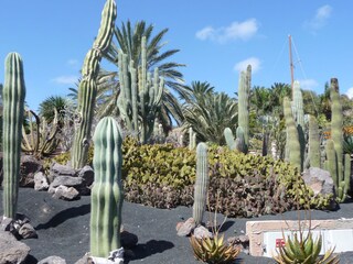 Villa Costa Calma Ambiente 27