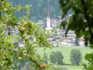 Type de propriété : Ferme Uderns Environnement 38