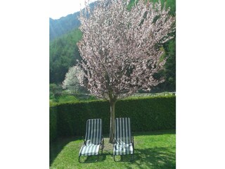 Appartamento per vacanze Pfunds Registrazione all'aperto 5