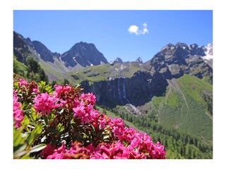 Appartamento per vacanze Pfunds Ambiente 31