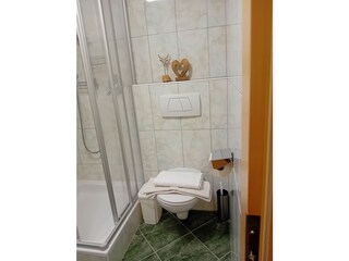 Vakantieappartement Pfunds Badkamer 15