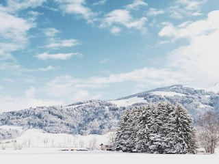 Apartment Uderns Umgebung 27