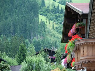 Appartement Aschau im Zillertal Environnement 26