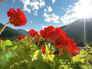 Appartement Aschau im Zillertal  35